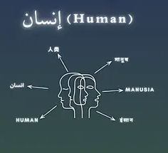 Human