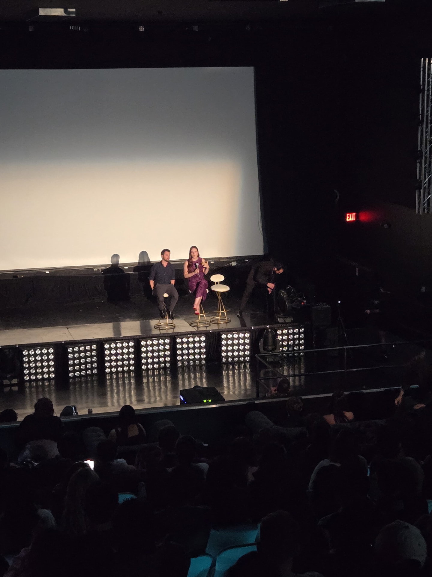 A panel discussion on the theater stage with a seated audience